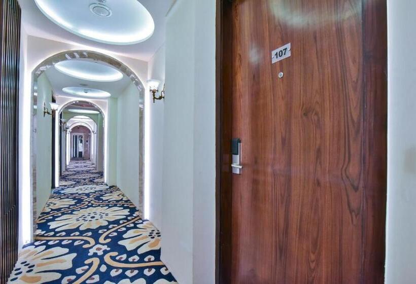 Hotel Br Grand With Nimo Club Amritsar 5 Mint From Golden Temple