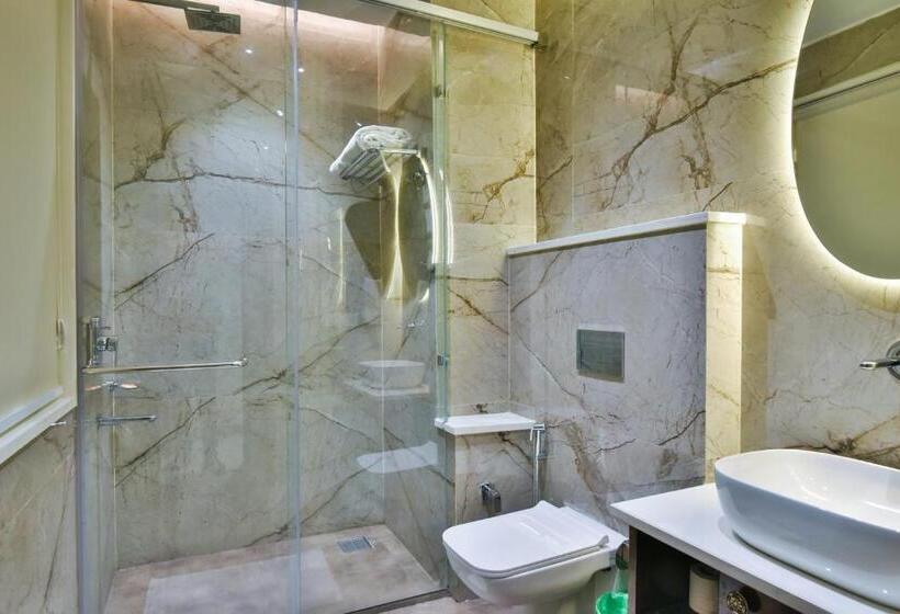 Hotel Br Grand With Nimo Club Amritsar 5 Mint From Golden Temple