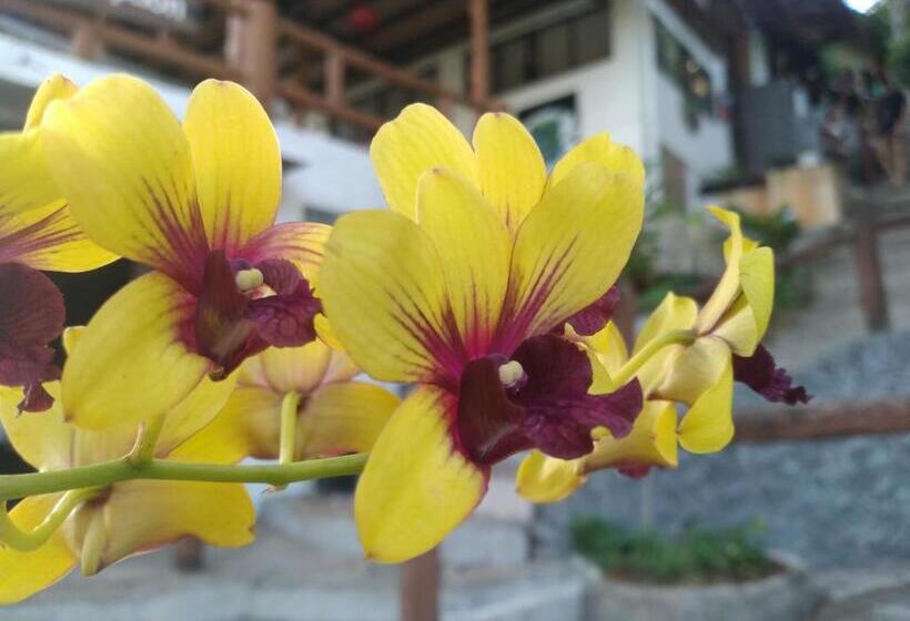 Отель Tree House Bungalows Koh Tao