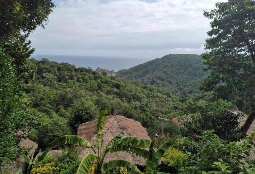 Отель Tree House Bungalows Koh Tao