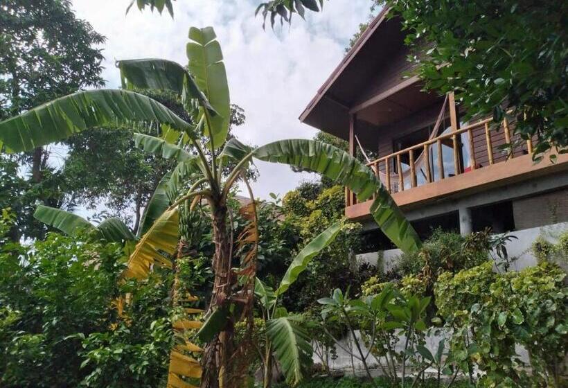 Отель Tree House Bungalows Koh Tao