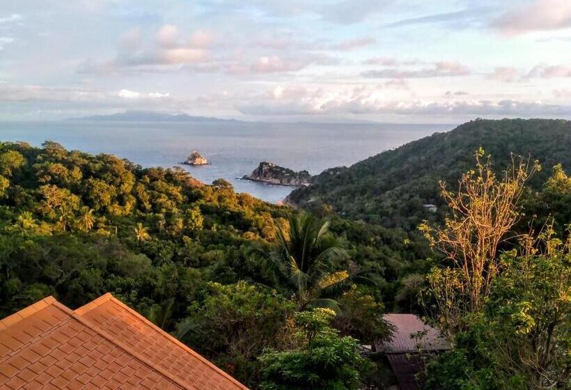 Отель Tree House Bungalows Koh Tao