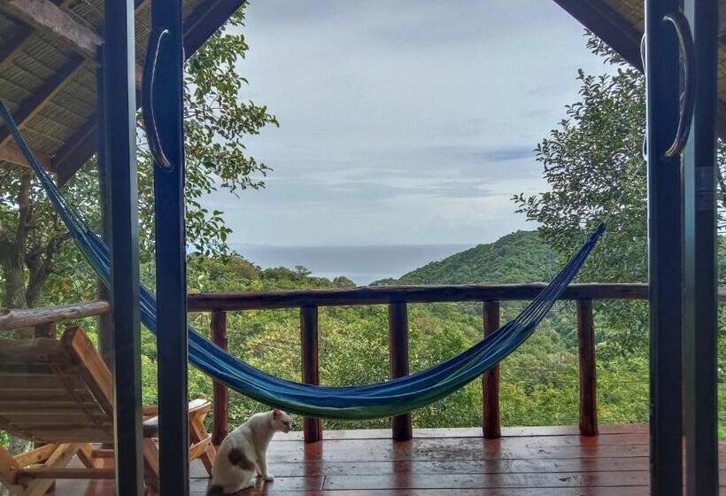 Отель Tree House Bungalows Koh Tao