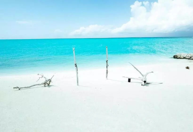 پانسیون Mariana Inn