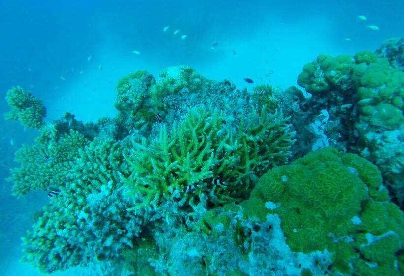 پانسیون Mariana Inn