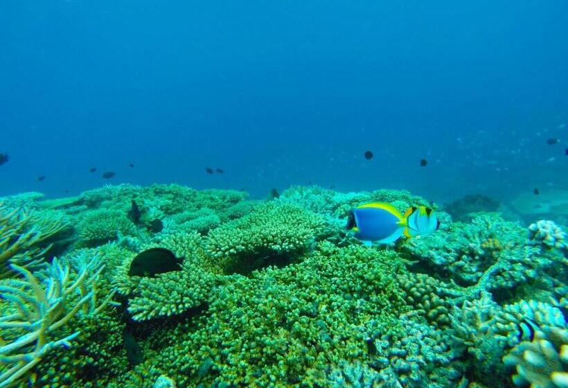 پانسیون Mariana Inn