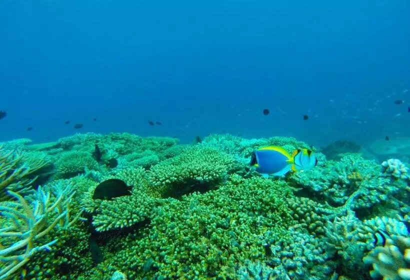 پانسیون Mariana Inn