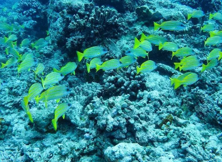 پانسیون Mariana Inn