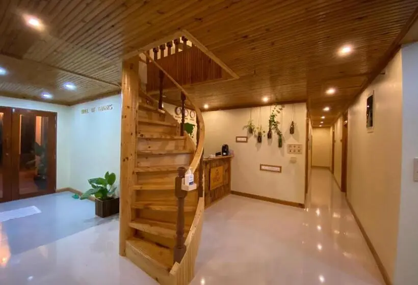 پانسیون Mariana Inn