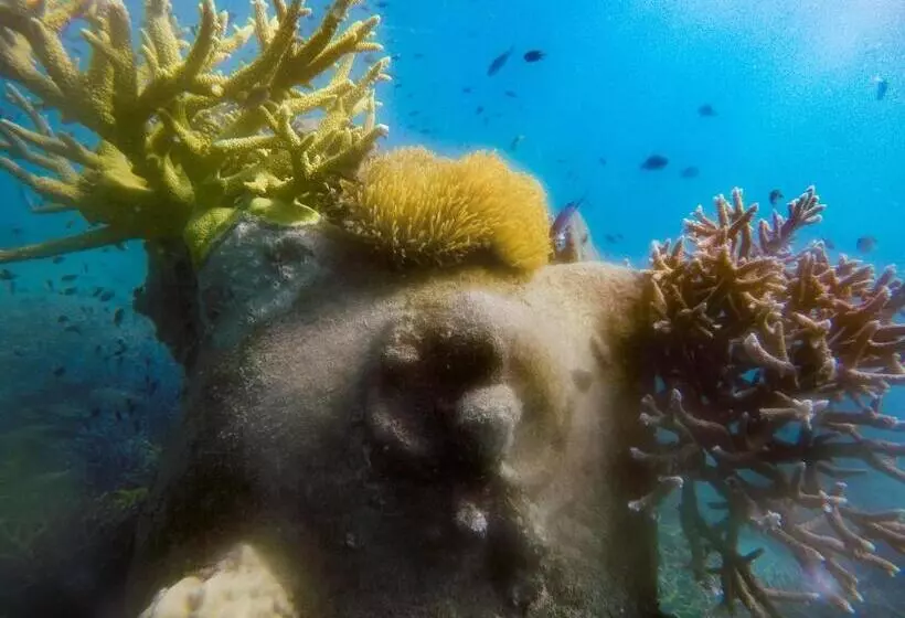 Retkeilymaja Bb Dorm Koh Kood