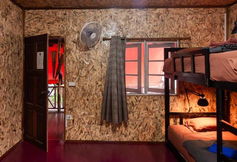 ユースホステル Bb Dorm Koh Kood