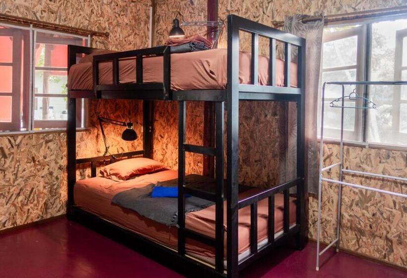 ユースホステル Bb Dorm Koh Kood