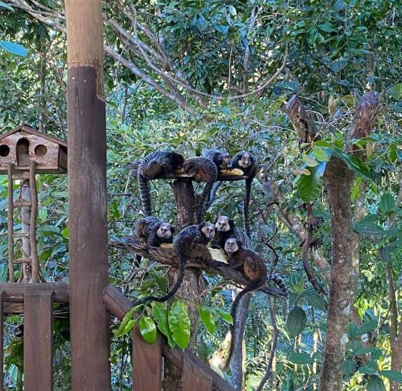 Hostel Pousada Natureza Viva