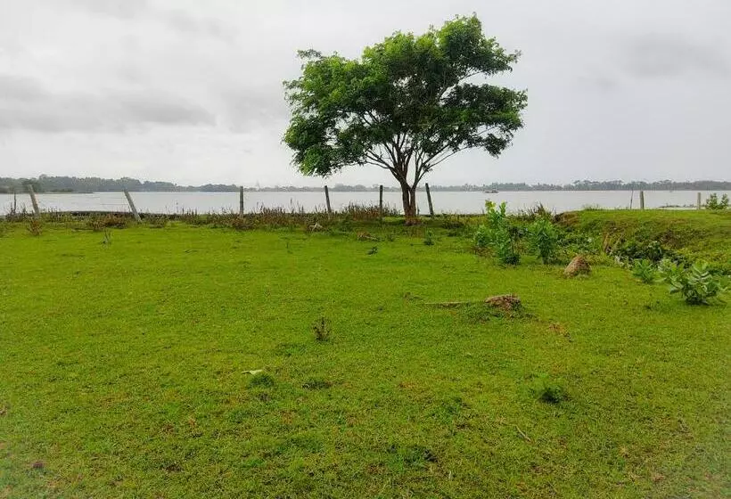 Aamiaismajoitus (B&B) Lake View Cottage