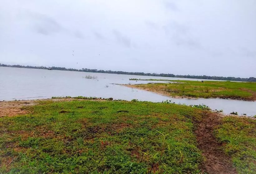 Aamiaismajoitus (B&B) Lake View Cottage