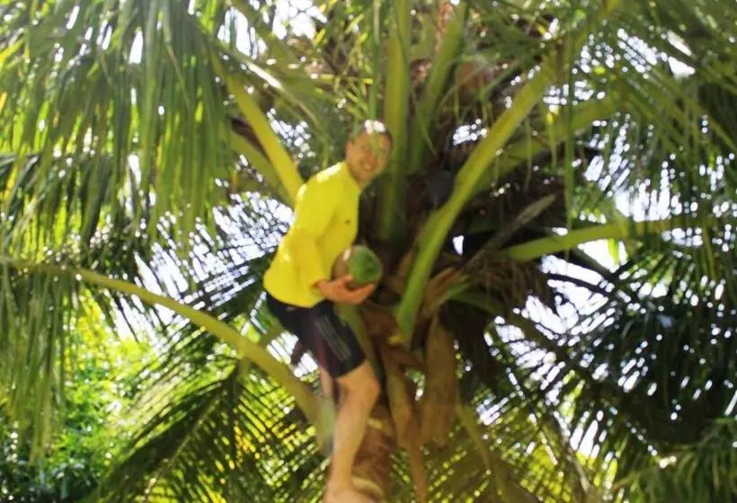 Aamiaismajoitus (B&B) Lake View Cottage