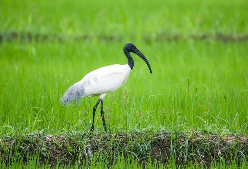 צימר Lake View Cottage