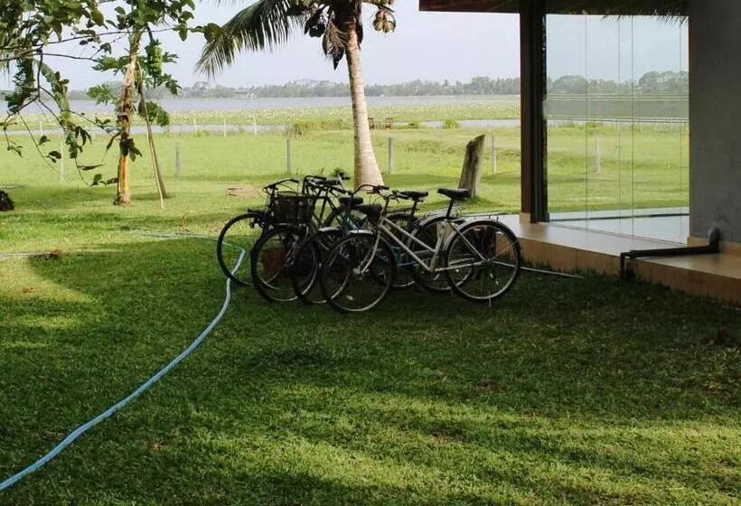 Aamiaismajoitus (B&B) Lake View Cottage