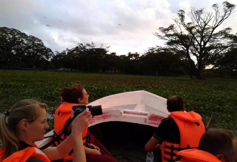 Aamiaismajoitus (B&B) Lake View Cottage