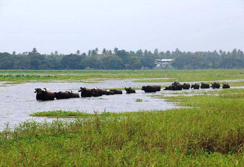 צימר Lake View Cottage