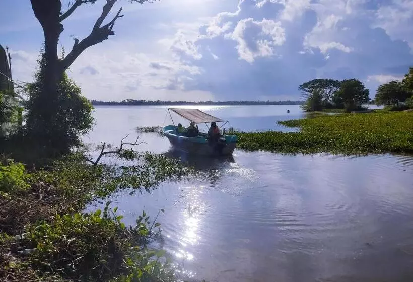 Aamiaismajoitus (B&B) Lake View Cottage