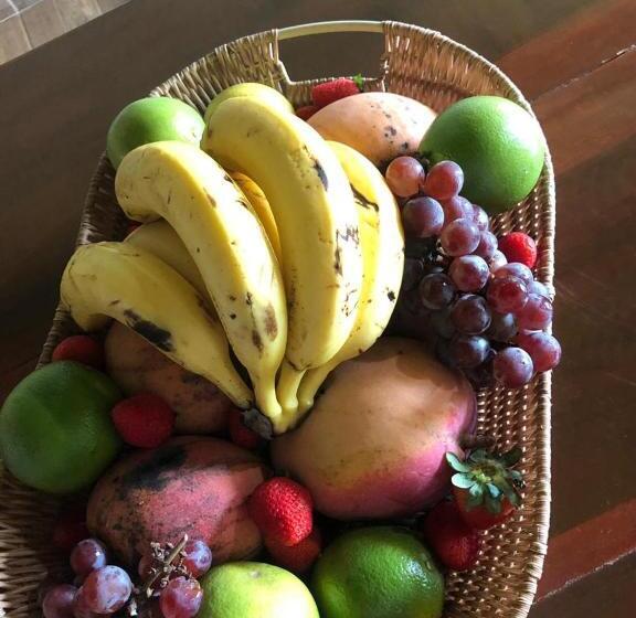 Bed and Breakfast Pantanal Ranch Meia Lua