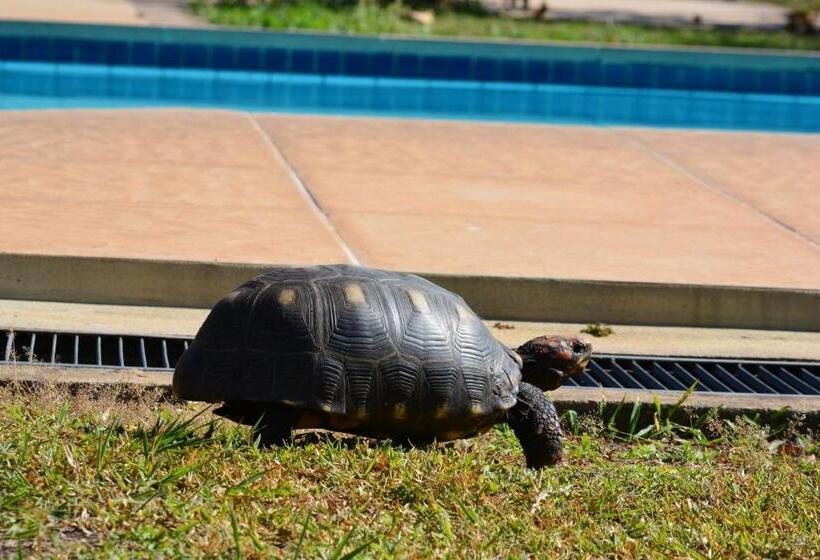 Bed and Breakfast Pantanal Ranch Meia Lua