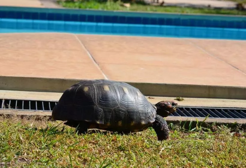 Aamiaismajoitus (B&B) Pantanal Ranch Meia Lua