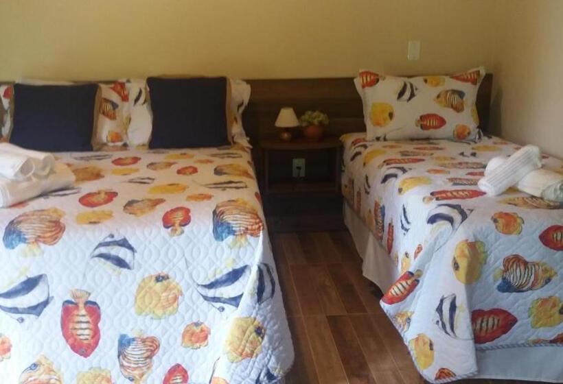 Bed and Breakfast Pantanal Ranch Meia Lua