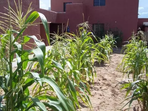 Motelli Hopi Cultural Center