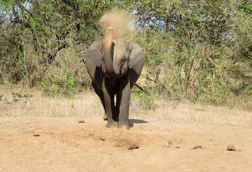 Пансион Nature House