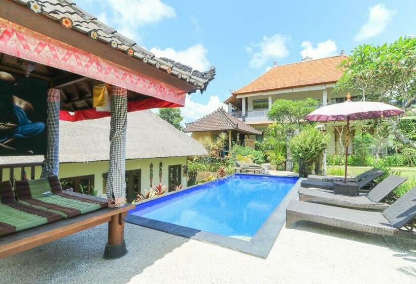 膳宿费 Ubud Chez Nyoman