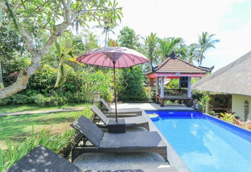 膳宿费 Ubud Chez Nyoman