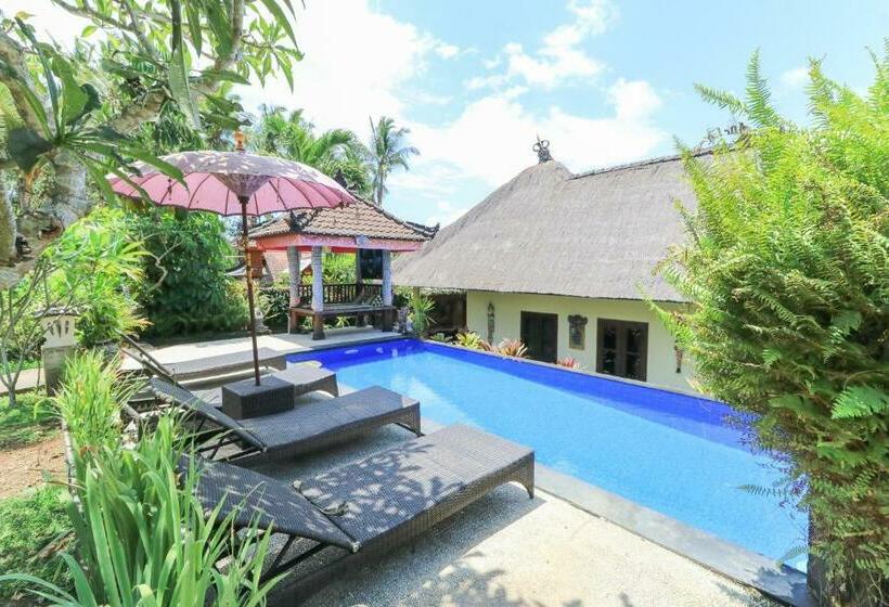 膳宿费 Ubud Chez Nyoman