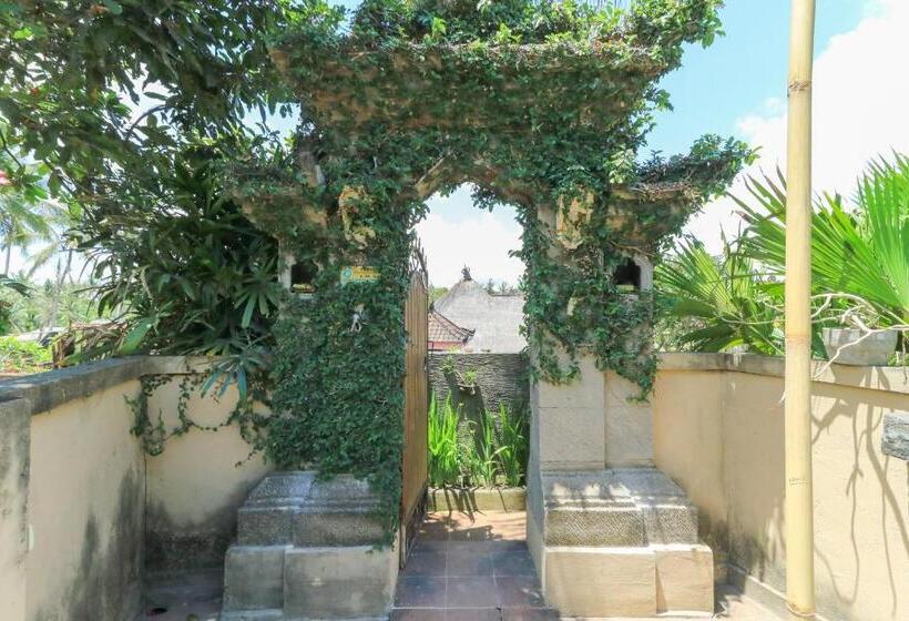 膳宿费 Ubud Chez Nyoman