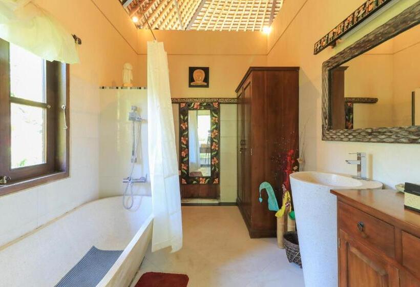 膳宿费 Ubud Chez Nyoman