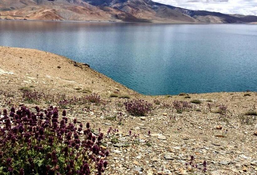 Tsomoriri Hotel Lake View