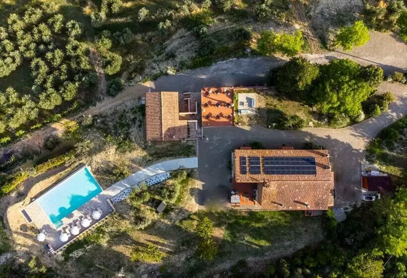 Aamiaismajoitus (B&B) Agriturismo La Collina Degli Olivi