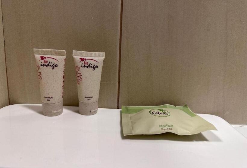 Apart Hotel Castellon 176