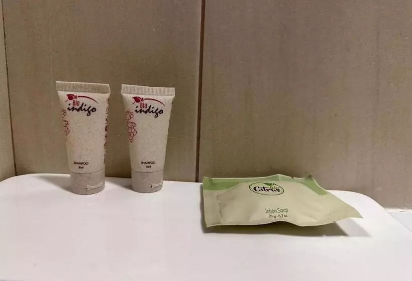 Apart Hotel Castellon 176