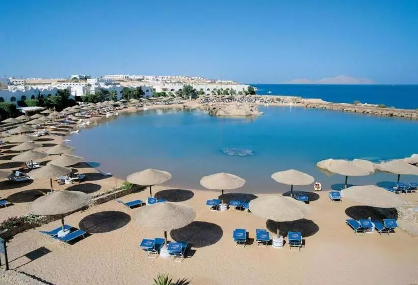 Domina Coral Bay Private Studios