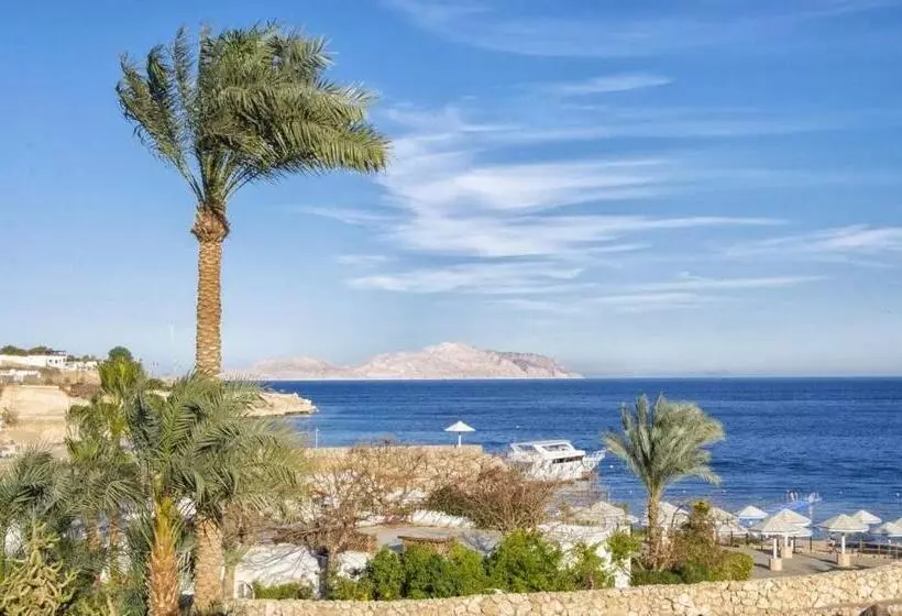 Domina Coral Bay Private Studios