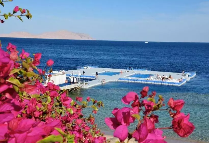 Domina Coral Bay Private Studios