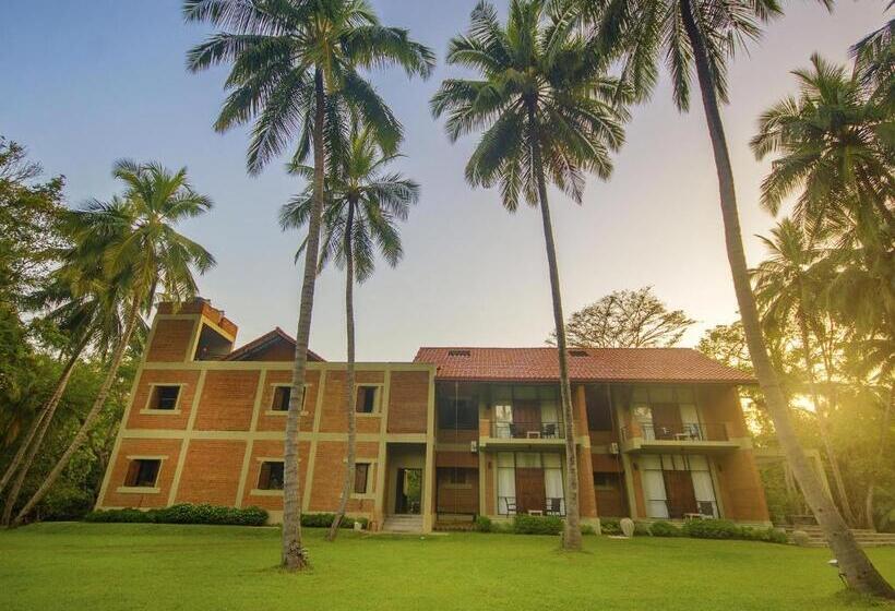 فندق Arika Villa