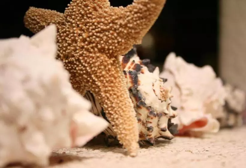 Отель Cabanas Biuzaa