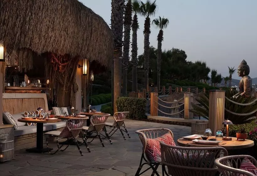 هتل Caresse, A Luxury Collection Resort & Spa, Bodrum