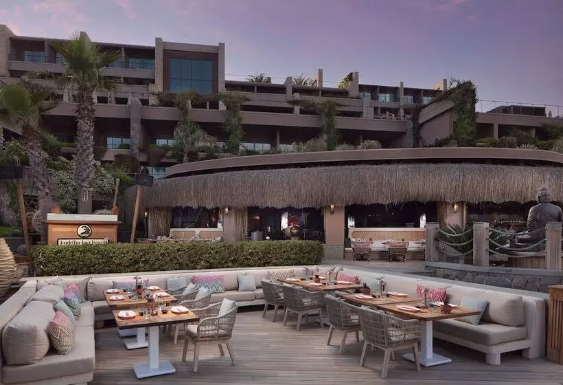 هتل Caresse, A Luxury Collection Resort & Spa, Bodrum