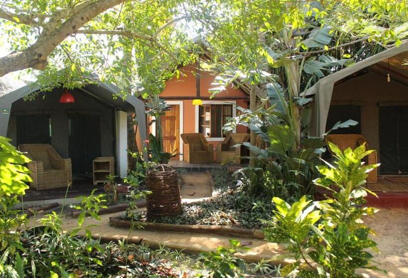 酒店 Devocean Eco Adventure Lodge