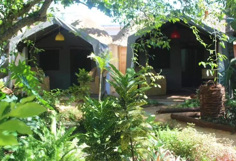 هتل Devocean Eco Adventure Lodge