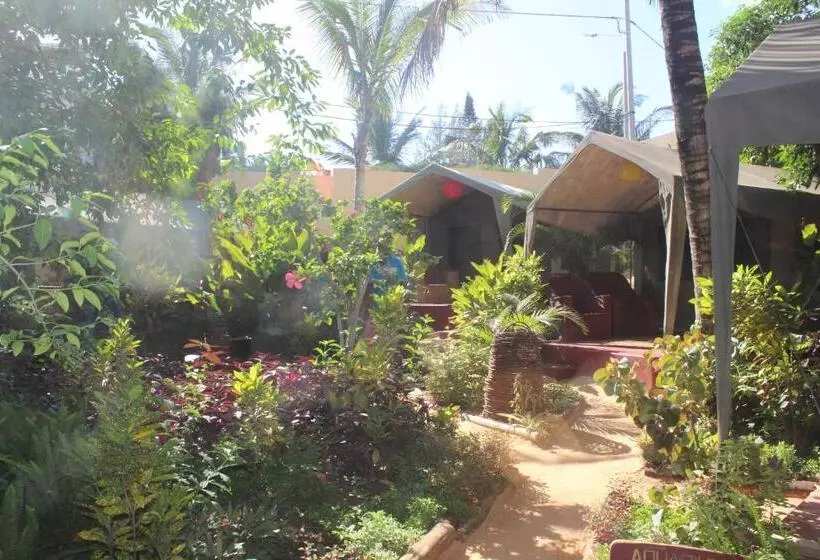 هتل Devocean Eco Adventure Lodge